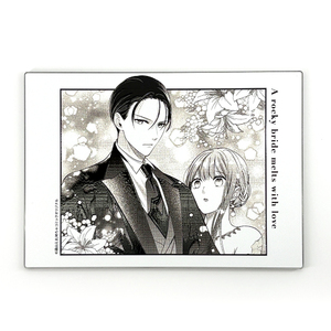 岩肌の花嫁は愛で溶かされる　凹凸アクリルパネルB