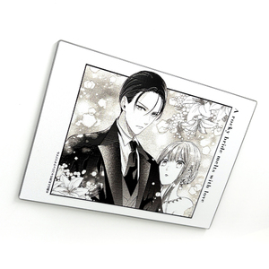 岩肌の花嫁は愛で溶かされる　凹凸アクリルパネルB